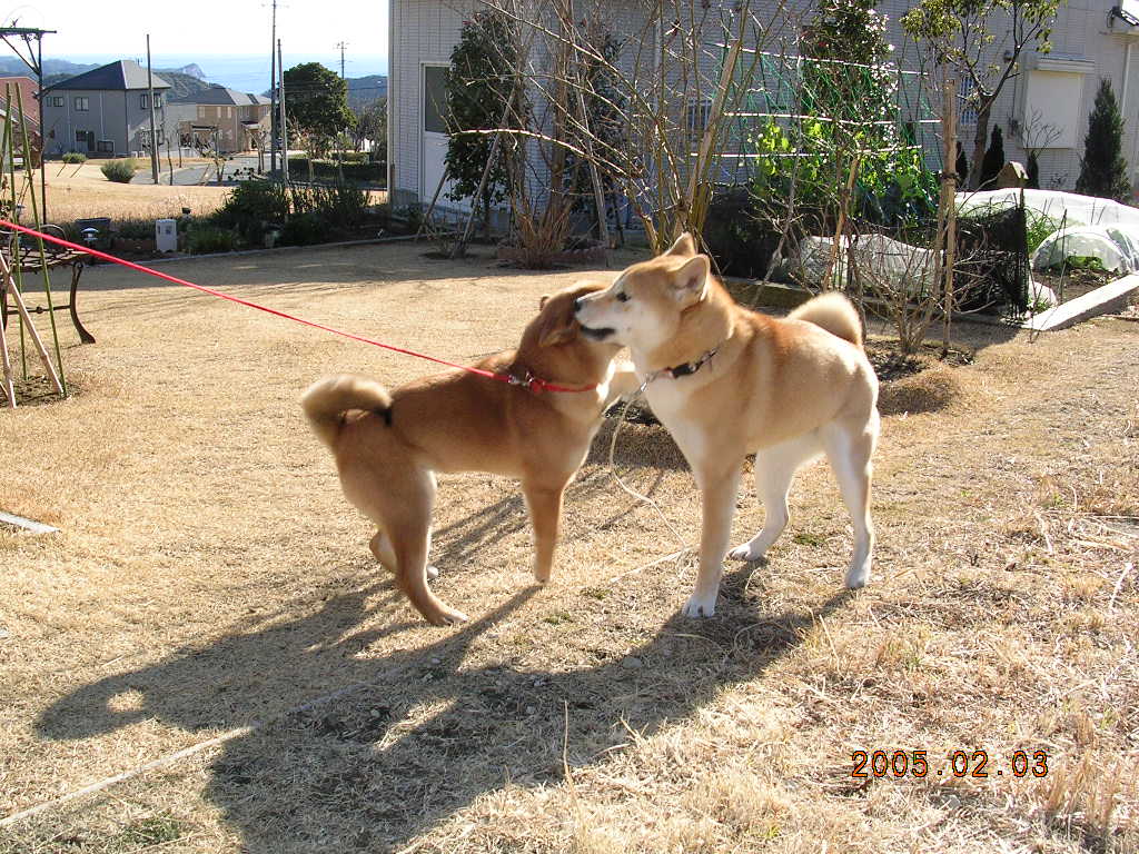 ’14,9,25(木)愛ちゃんの青春編!_f0060461_1361447.jpg