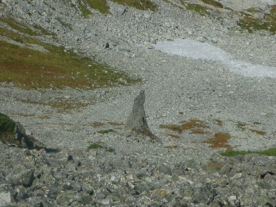 d0110562_20442627.jpg