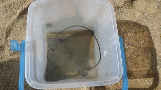 f0202368_1128134.jpg