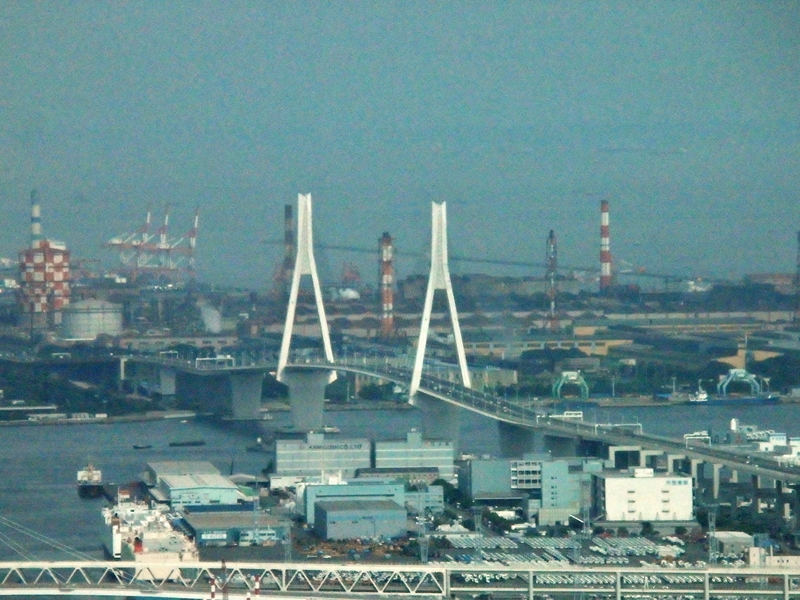 d0031171_87533.jpg