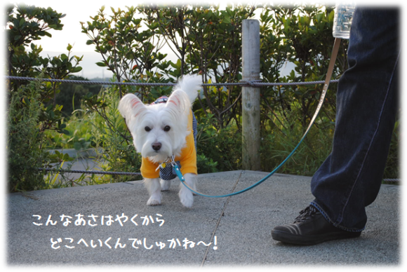 b0242873_01185826.png