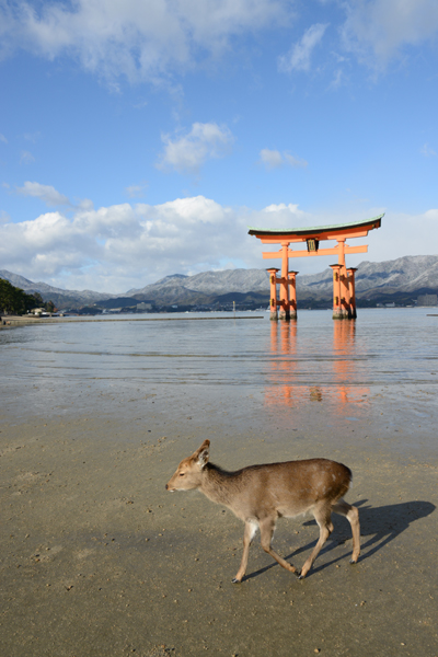 厳島神社写真_e0171573_1846409.jpg