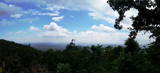 e0183673_5284769.jpg