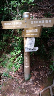 e0183673_62404.jpg
