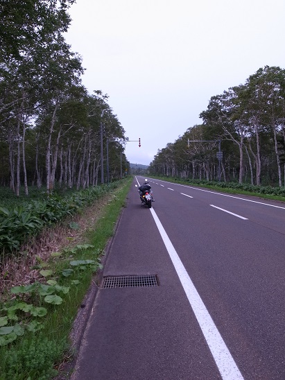 北海道こぼれ話ー事故_a0250179_1533636.jpg