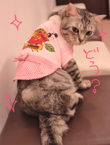 この秋最新☆ぼるコレ☆_c0245679_21004329.jpg