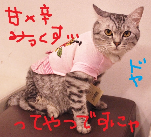 この秋最新☆ぼるコレ☆_c0245679_21084742.jpg
