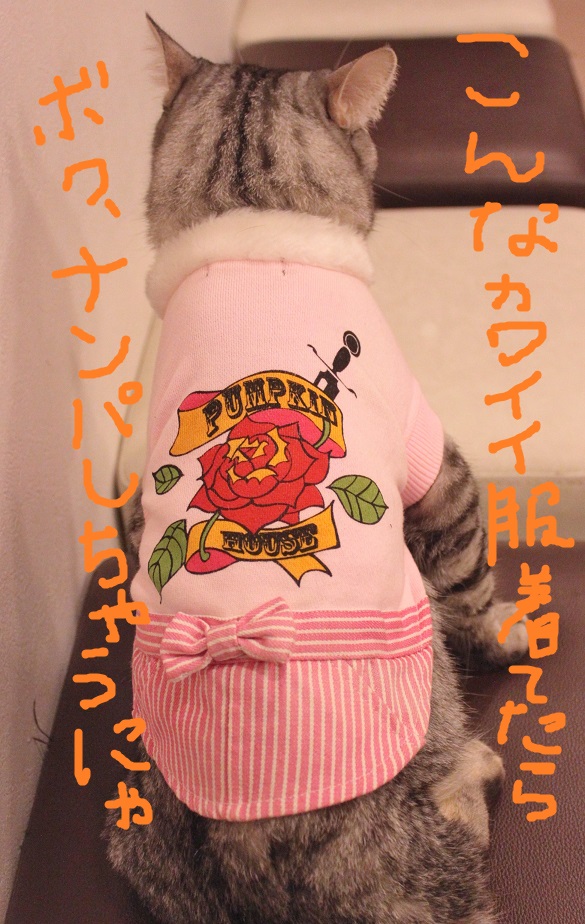 この秋最新☆ぼるコレ☆_c0245679_21131977.jpg