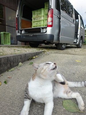 花と器との出会い_d0195183_2115817.jpg