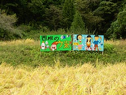 9月25日の田んぼ(月光原小・西根小)_d0247484_1657094.jpg
