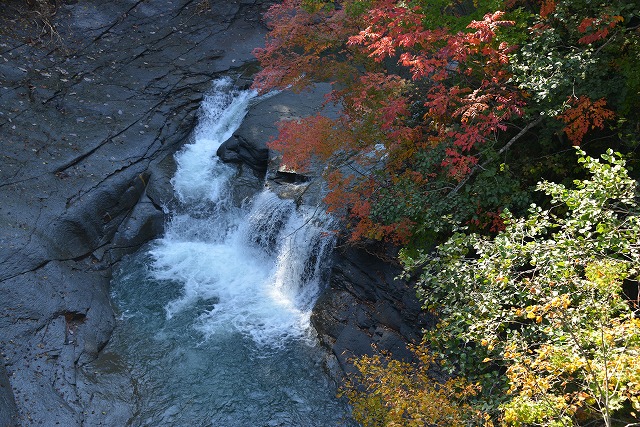 f0212586_16201480.jpg