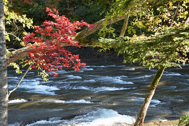 f0212586_1620252.jpg