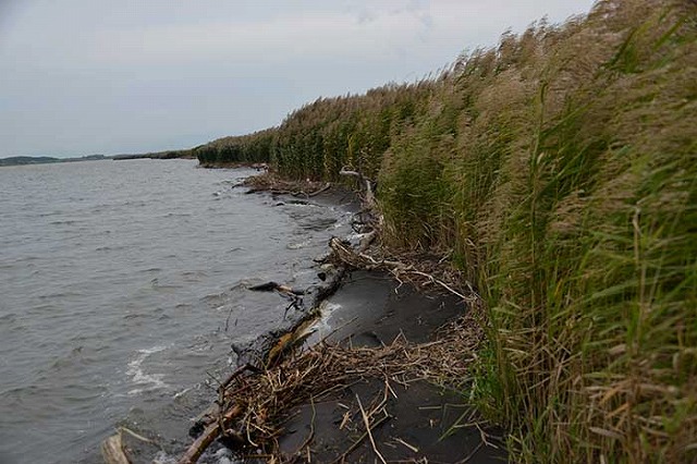 北海道遺産である石狩川河口付近を散策してみました_f0212586_9543023.jpg