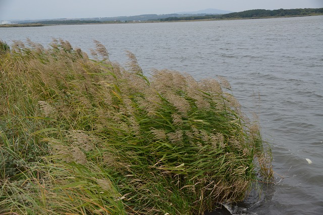 f0212586_9544664.jpg