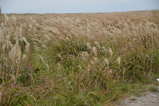 f0212586_957182.jpg