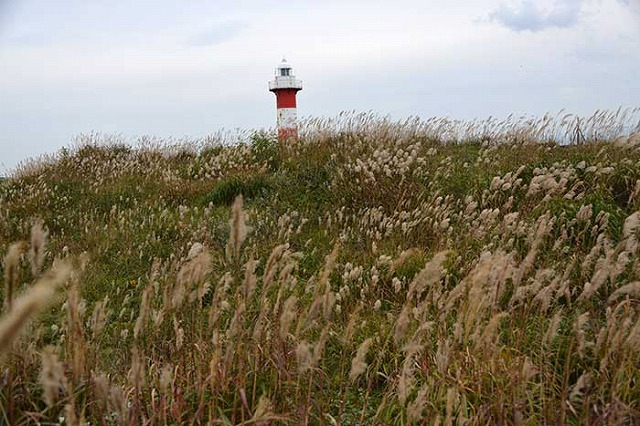 f0212586_9573381.jpg