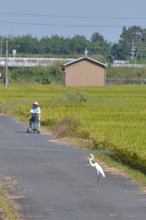 誰か来た！^^_e0246788_05510500.jpg