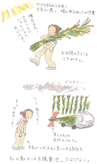 f0236291_21545770.gif