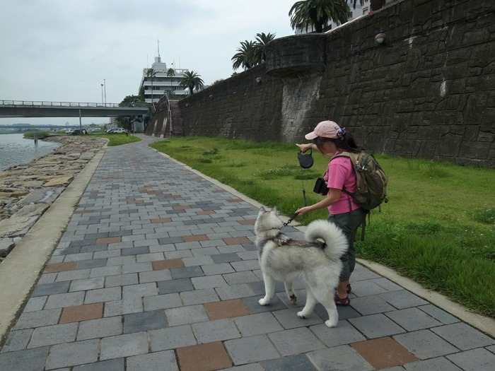 ようこそ！　宮崎へ　(^o^)_c0049299_21134731.jpg