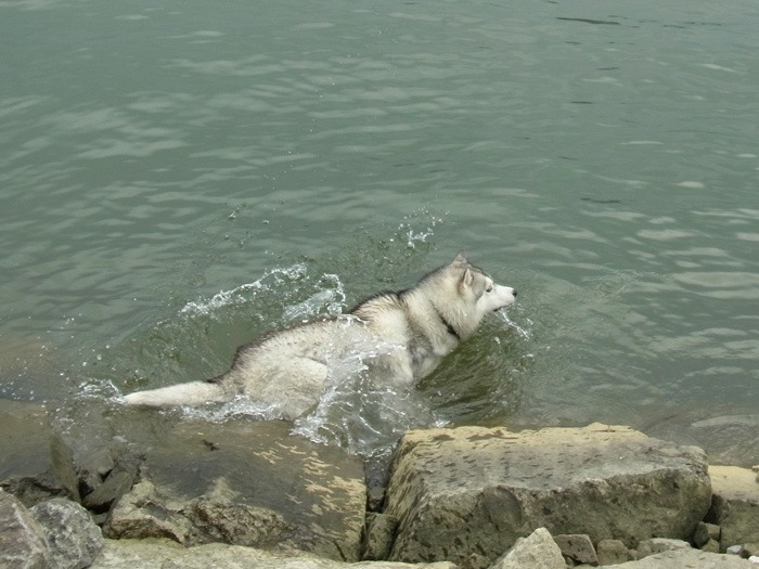 c0049299_2138351.jpg