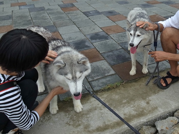 ようこそ！　宮崎へ　(^o^)_c0049299_21582526.jpg