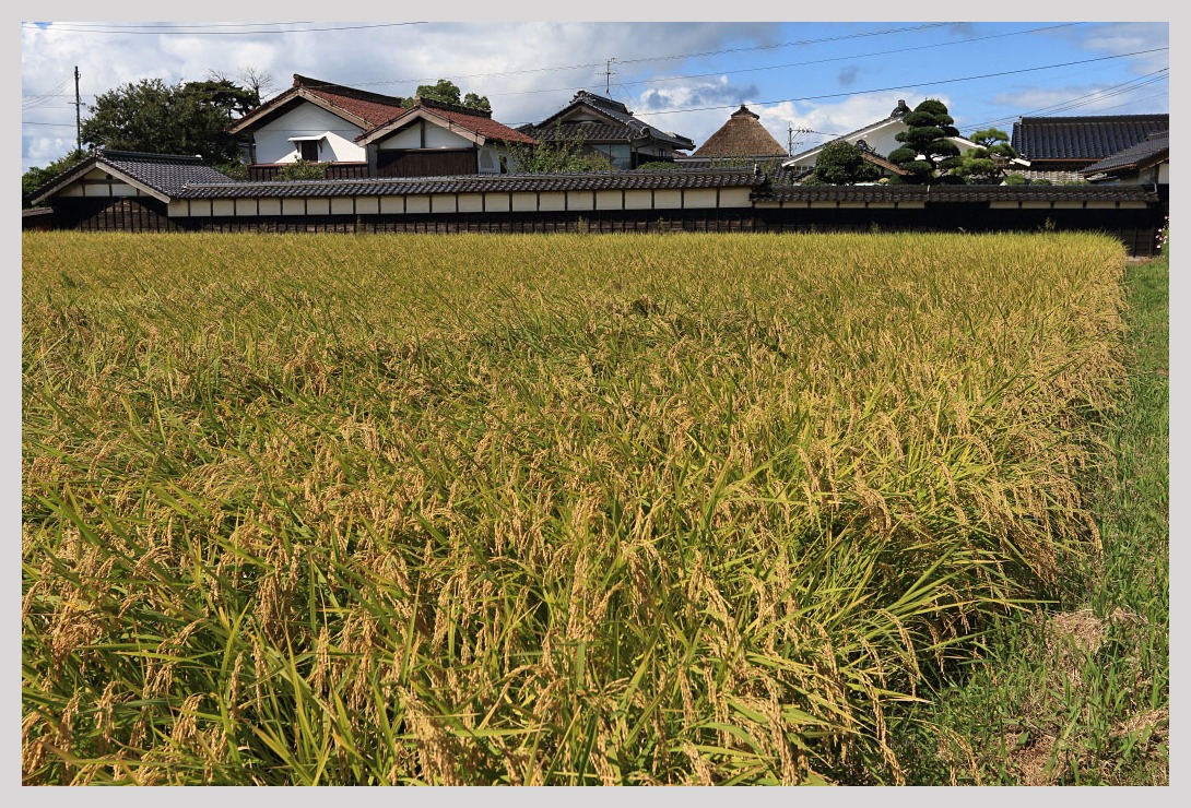 鳥取・所子の集落風景_c0129599_2227581.jpg