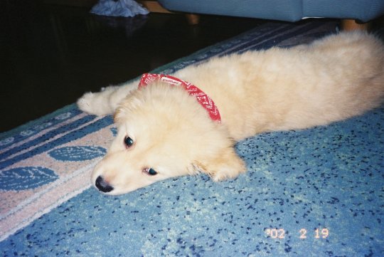 a0059000_18535701.jpg
