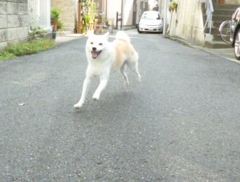 e0131506_16224580.jpg