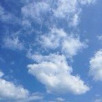 ありがとうございました。_f0273406_10561315.jpg