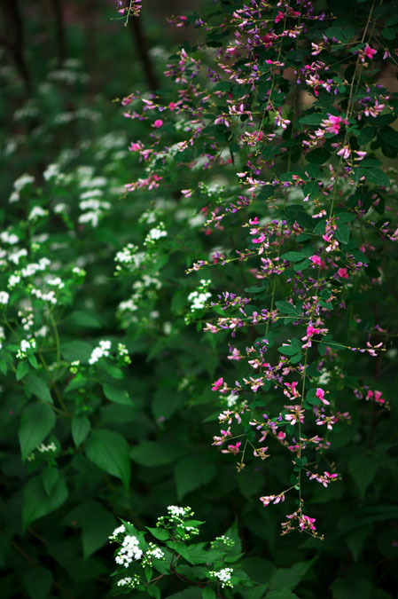 a0263109_155928.jpg