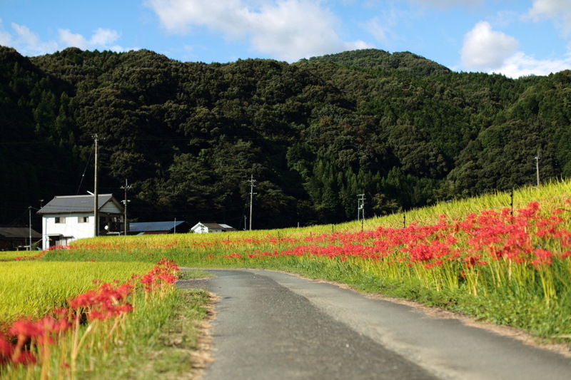 田舎道_e0274411_18422097.jpg