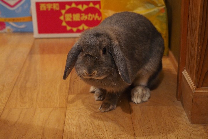 a0268412_23231339.jpg