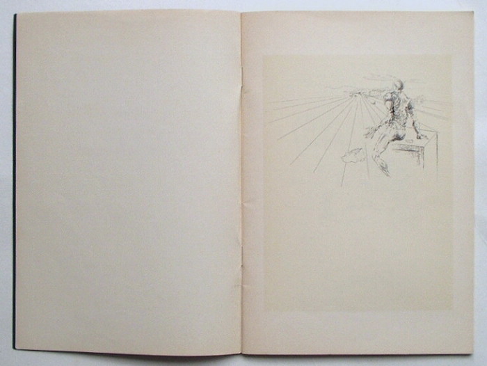 サルバドール・ダリの挿絵本案内「Les Chants de Maldoror