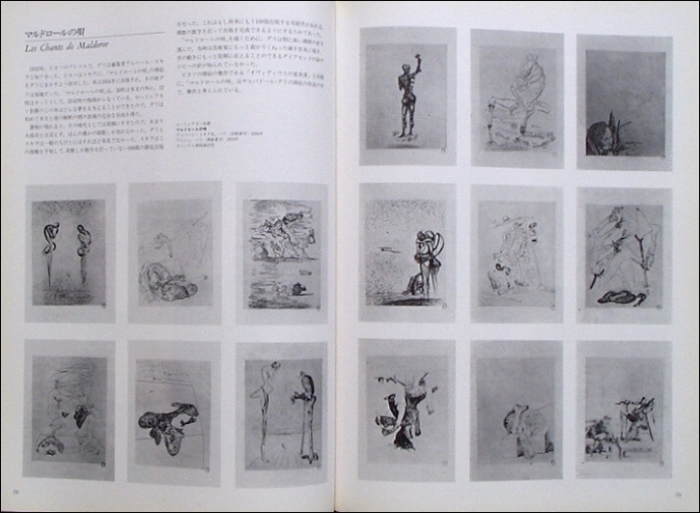 サルバドール・ダリの挿絵本案内「Les Chants de Maldoror