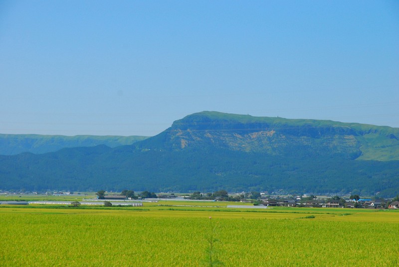 b0280025_1744047.jpg