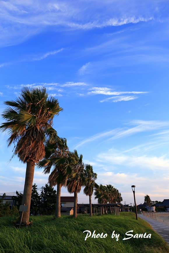 c0201929_73191.jpg