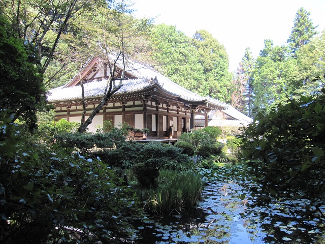 岩船寺から当尾の石仏巡り （京都・木津川）_f0231831_20502922.jpg