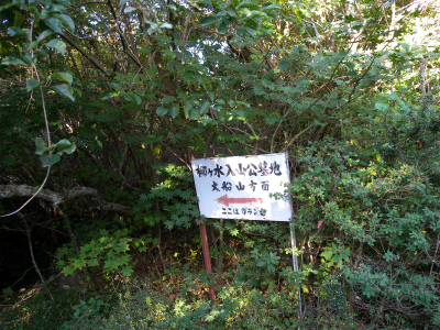 e0272335_19134221.jpg