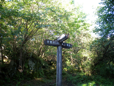 e0272335_1917167.jpg