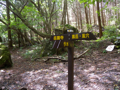 大船山　ガラン台から東稜コースを歩く＆ウメバチソウは蕾だった！_e0272335_202093.jpg