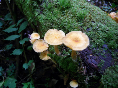 e0272335_20271067.jpg