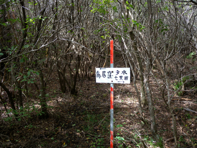 e0272335_2028513.jpg