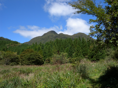 大船山　ガラン台から東稜コースを歩く＆ウメバチソウは蕾だった！_e0272335_20325756.jpg