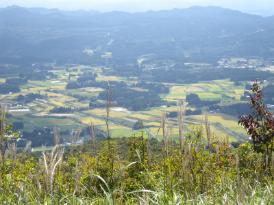 大船山　ガラン台から東稜コースを歩く＆ウメバチソウは蕾だった！_e0272335_20341932.jpg