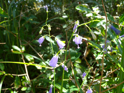 e0272335_20353728.jpg