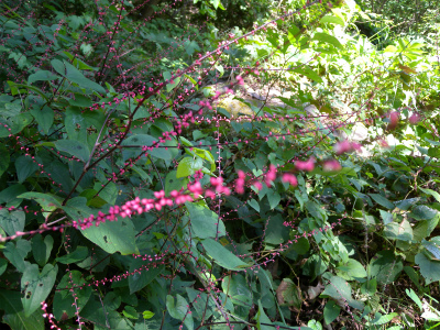 e0272335_20542482.jpg