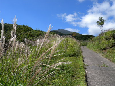 大船山　ガラン台から東稜コースを歩く＆ウメバチソウは蕾だった！_e0272335_21115750.jpg