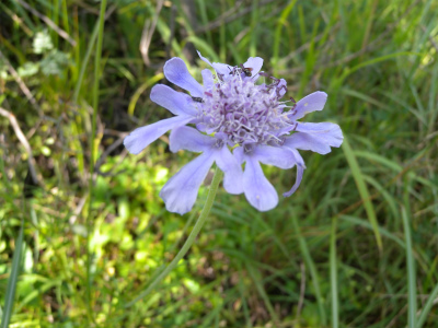 e0272335_21161671.jpg