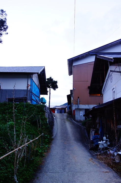 a0287336_1234480.jpg