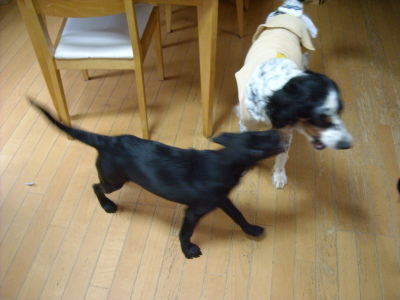 f0250542_13271483.jpg